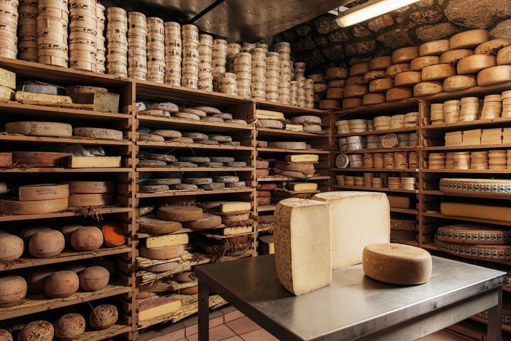 CAVE A FROMAGE ANTI-ODEURS POUR DES FROMAGES ONCTUEUX ET SAVOUREUX