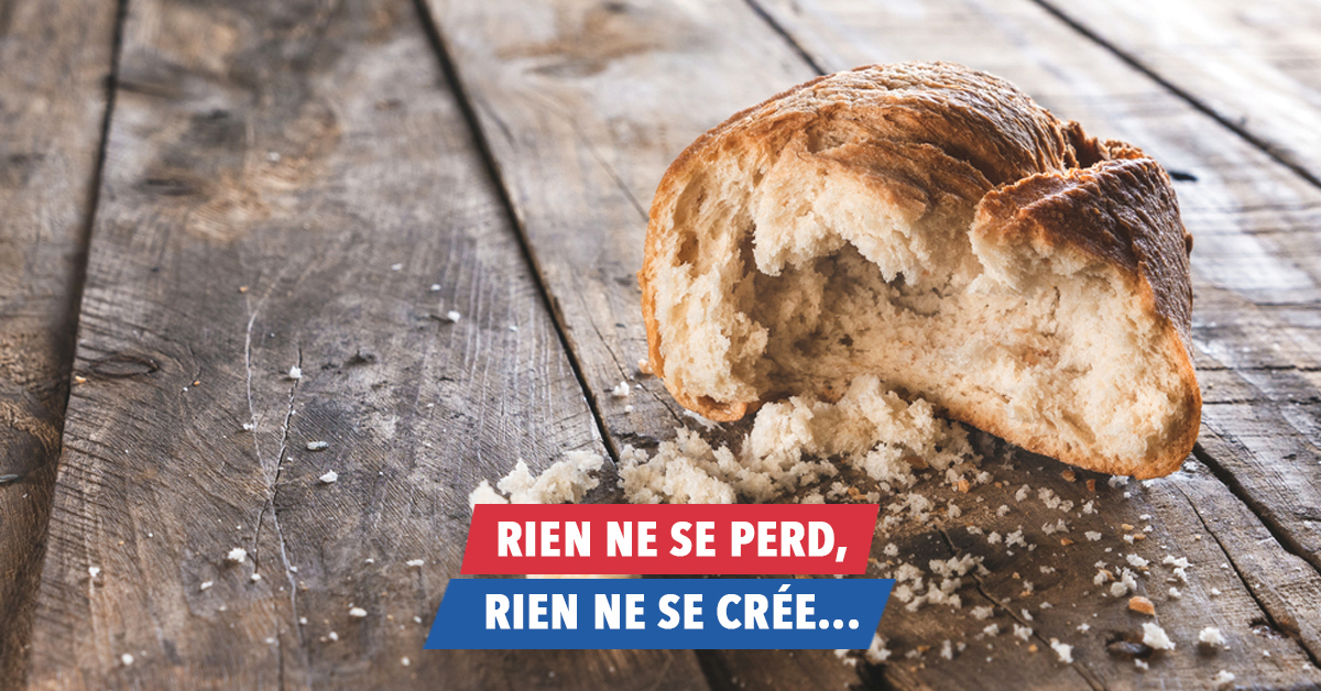 Que faire de votre vieux pain rassis ? Les Petits Frenchies